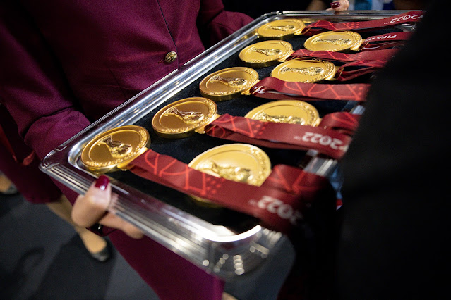 ​qatar airways, qatar airways south africa, qatar, qatar World Cup 2022,